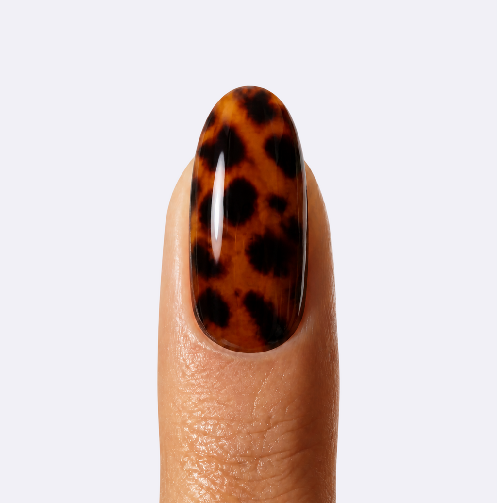 Tortoise Shell