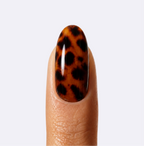 Tortoise Shell