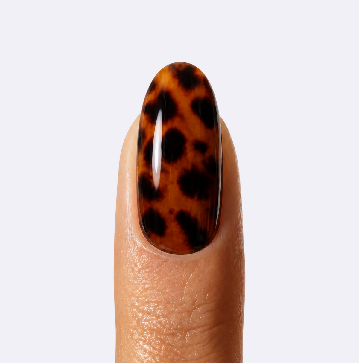 Tortoise Shell